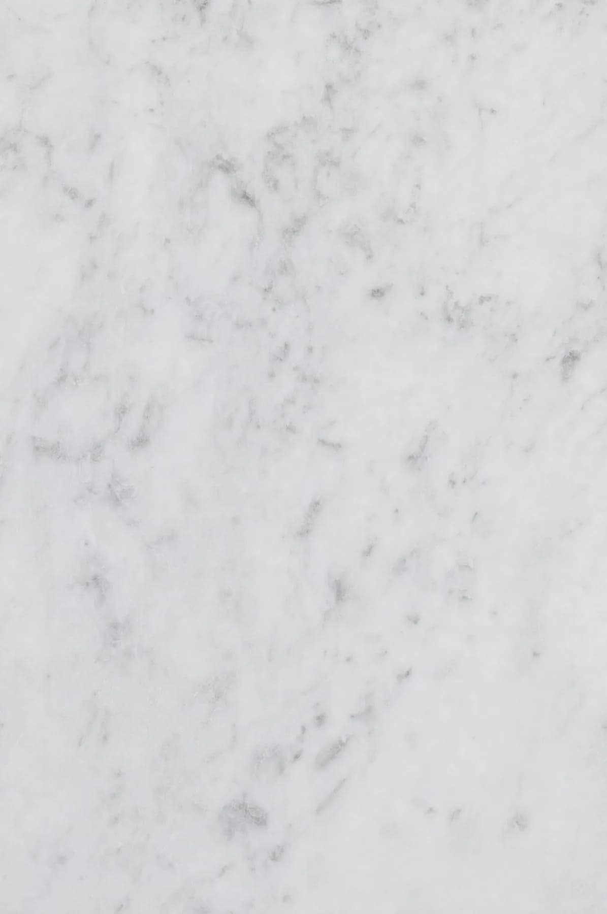 Arctic White — White Marble