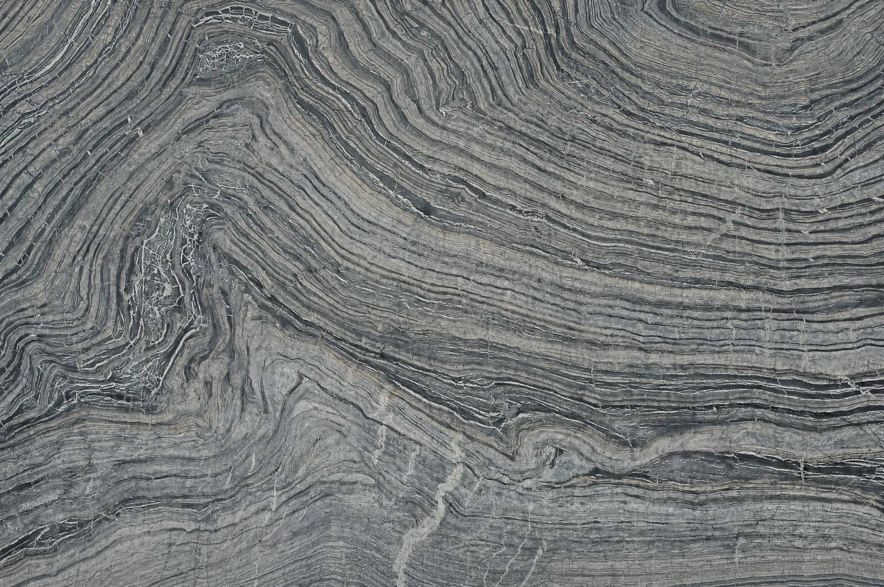 Black Tree — Black Marble