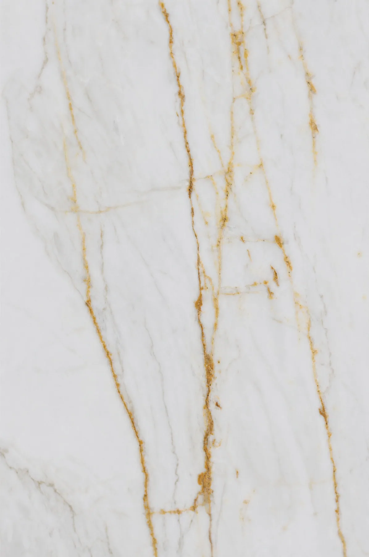 Calacatta Oro — White Marble