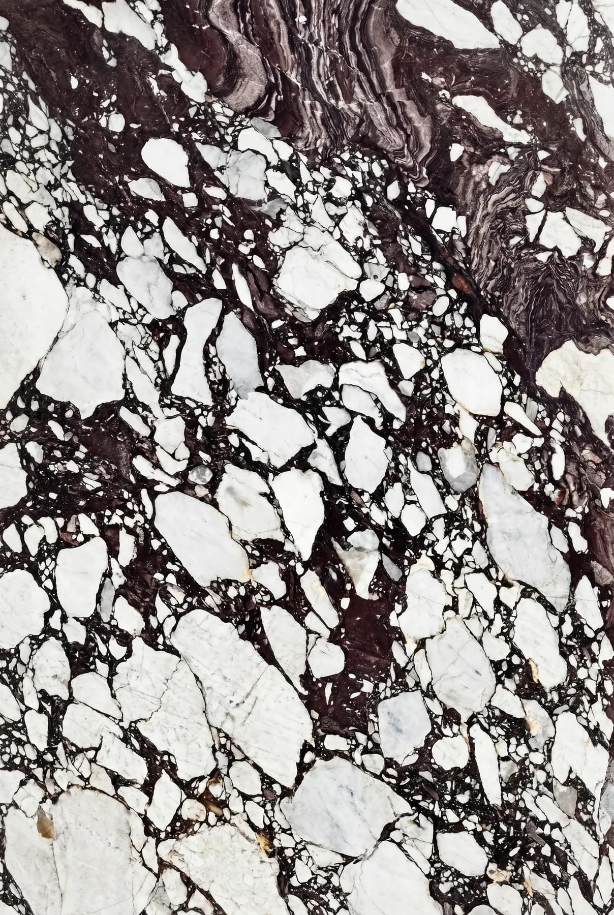 Calacatta Viola — Multi Marble