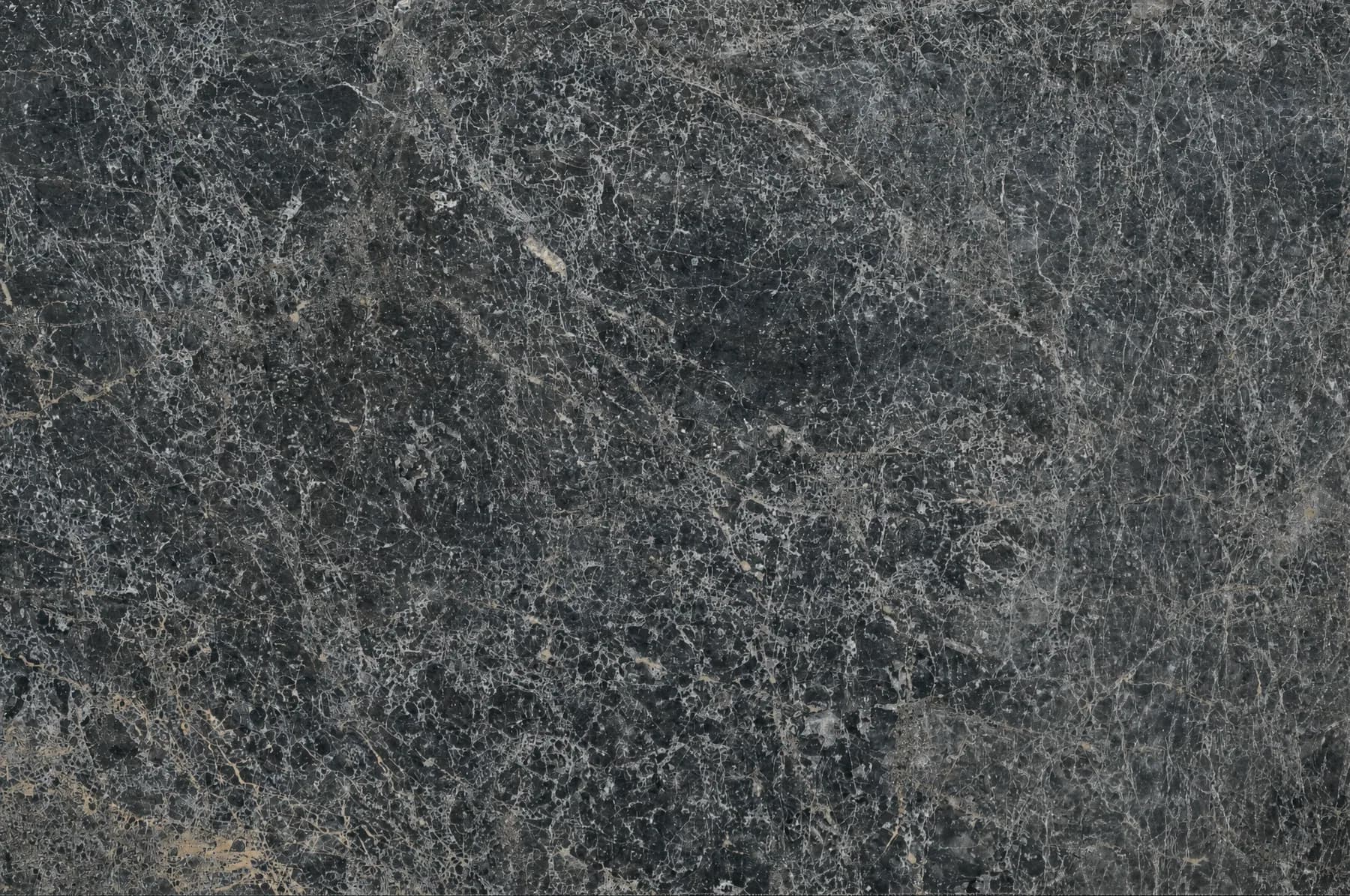 Damastas Grey — Grey Marble