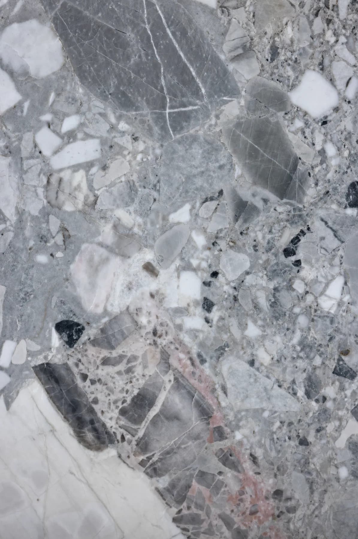 Fossil Grey — Grey Marble