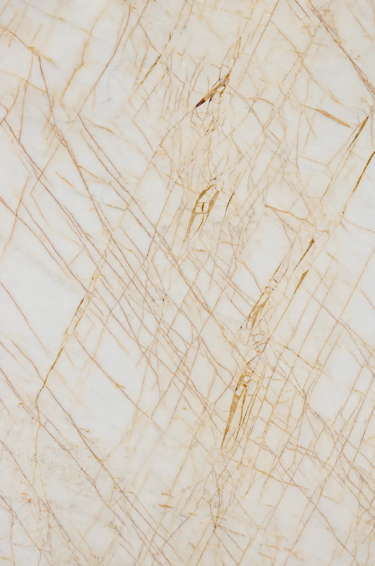 Golden Spider — Gold Marble
