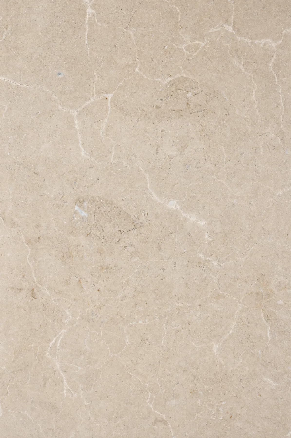 Mocha Creme — Beige Marble