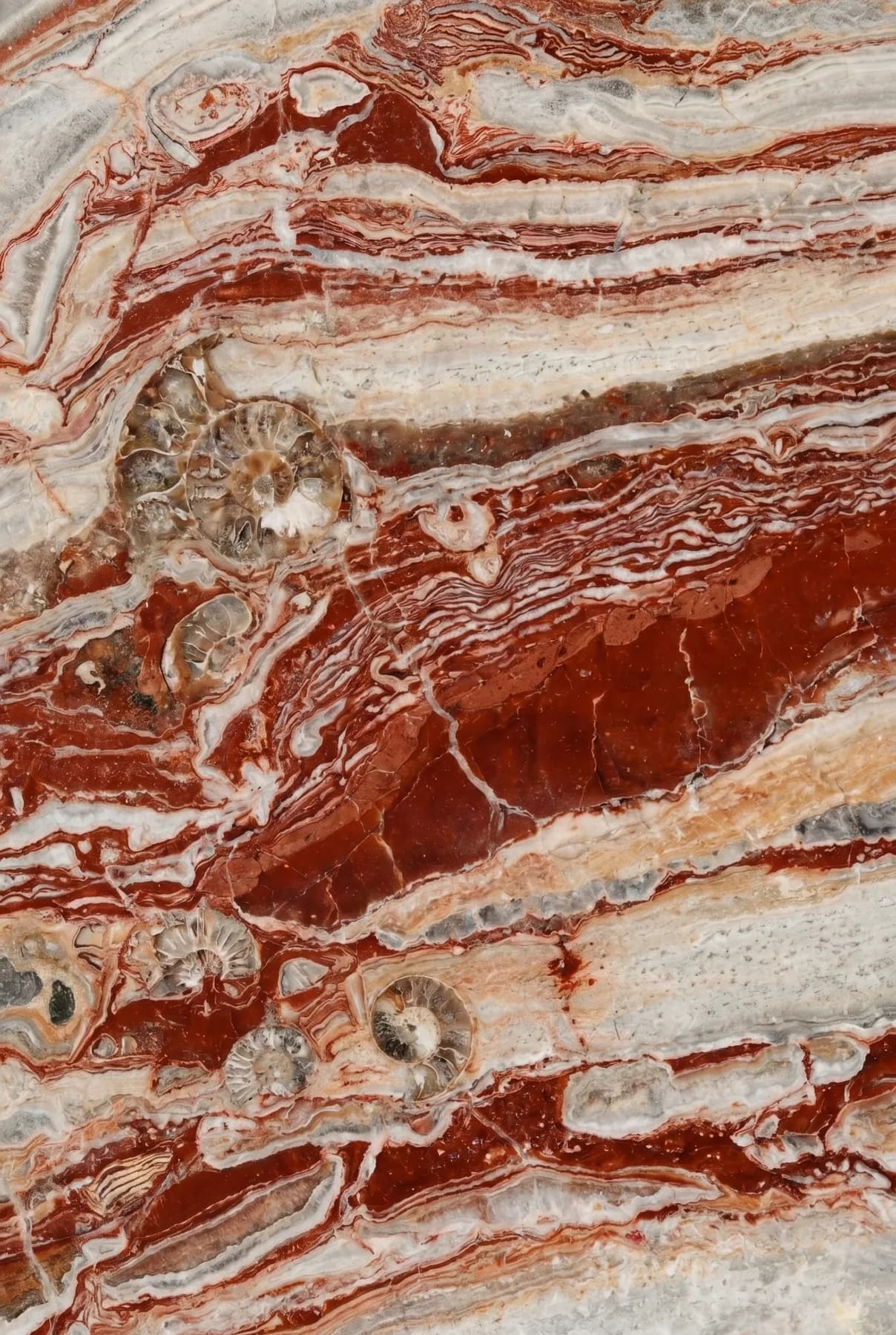 Rosso Orobico — Red Marble
