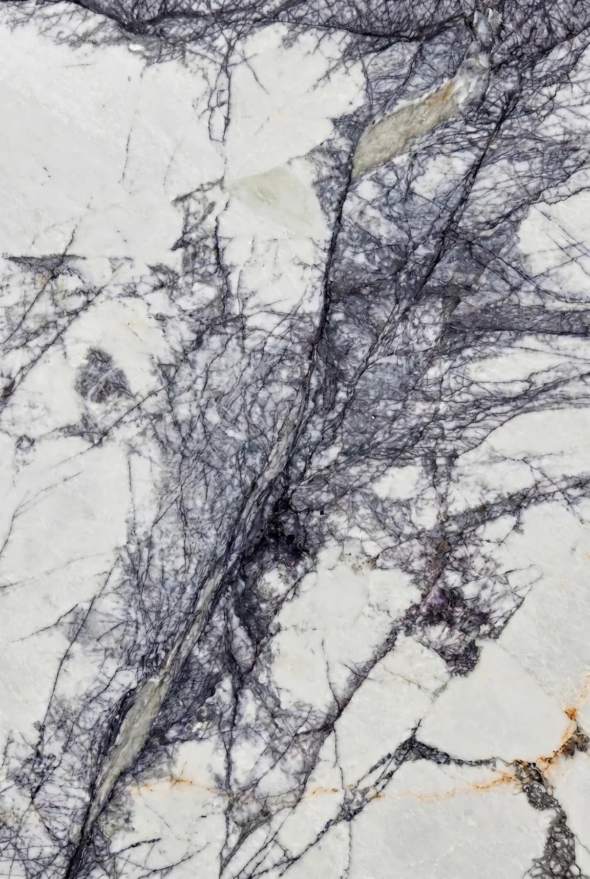 White Lilac — White Marble